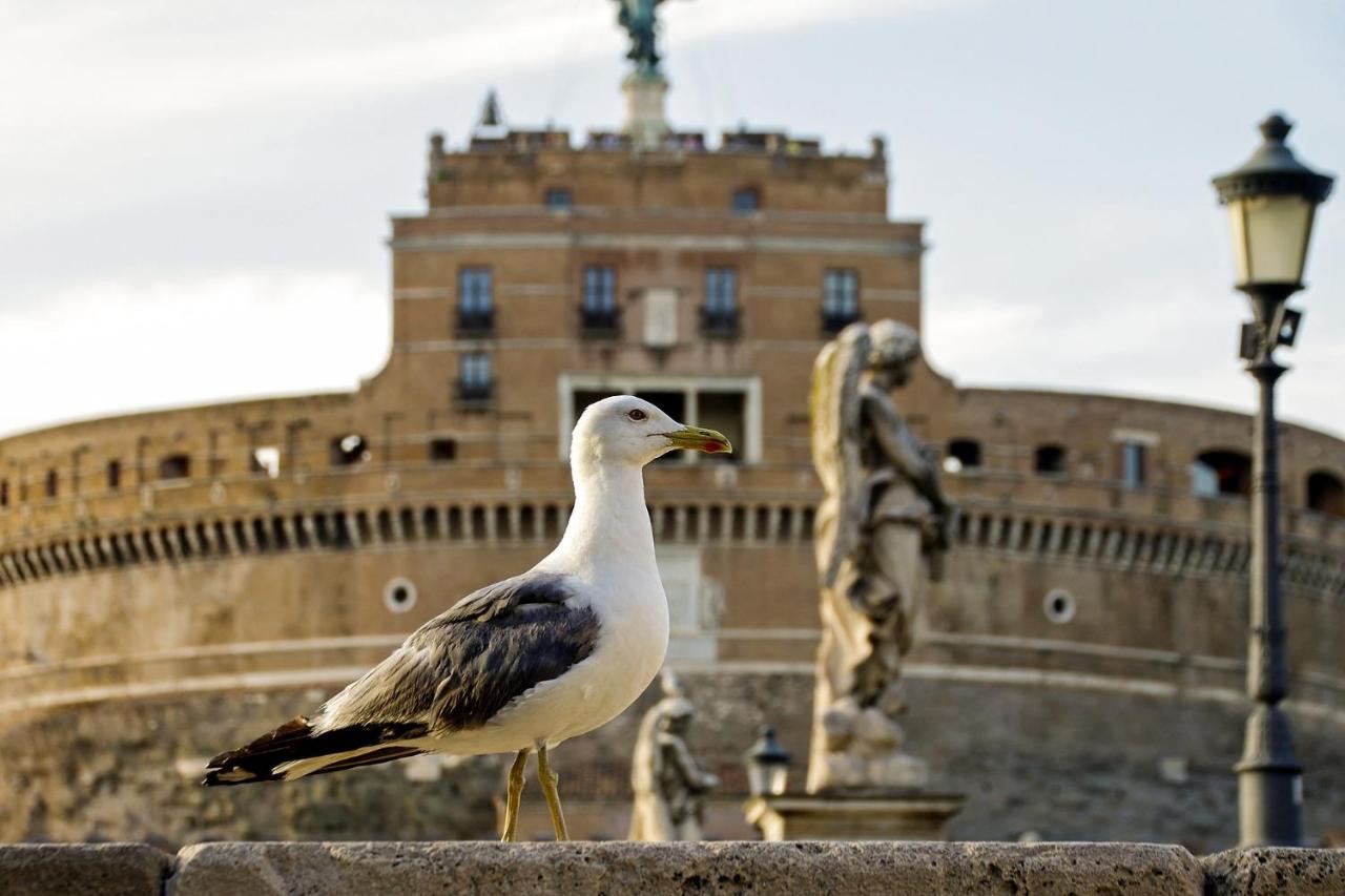 Roma Vatican Экстерьер фото